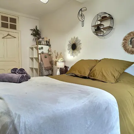 La Canopee - Parking Gratuit - Wifi - Hyper Centre Appartement *