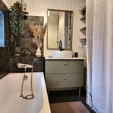 La Canopee - Parking Gratuit - Wifi - Hyper Centre Appartement Albi