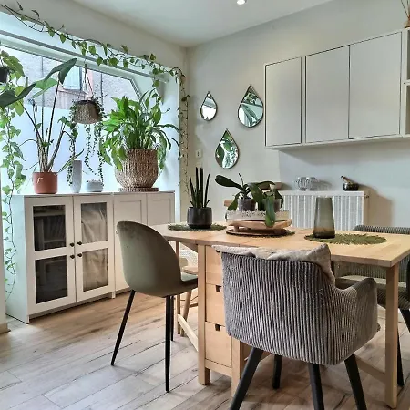 Appartement La Canopee - Parking Gratuit - Wifi - Hyper Centre