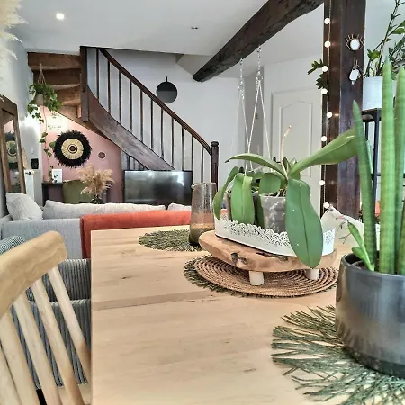 La Canopee - Parking Gratuit - Wifi - Hyper Centre Appartement *